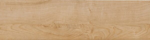 ce0baca10f1f6c01c3385ce2f794e361