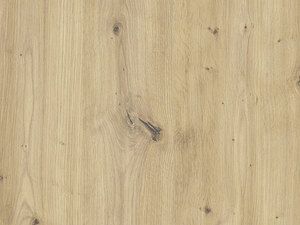 1cfd99a5687413f74ee2635671150613