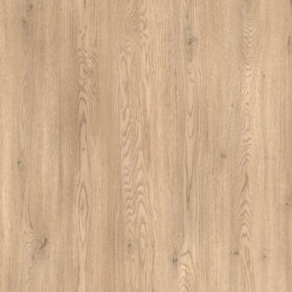 c2572668f33ccdfbd5aba49ee3ea0887