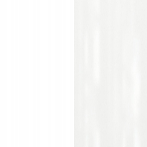 1e6af64e8b4d294e1fc8e35838a2d415