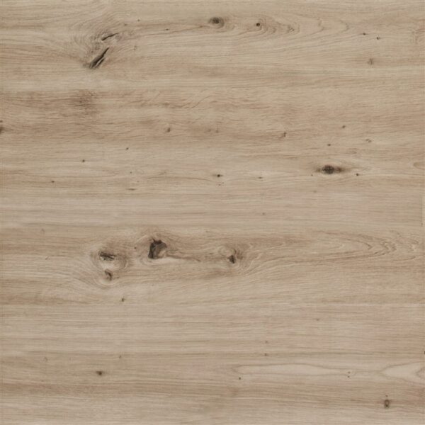 c1ace4a053c3e9d51e51c9381df36ac8